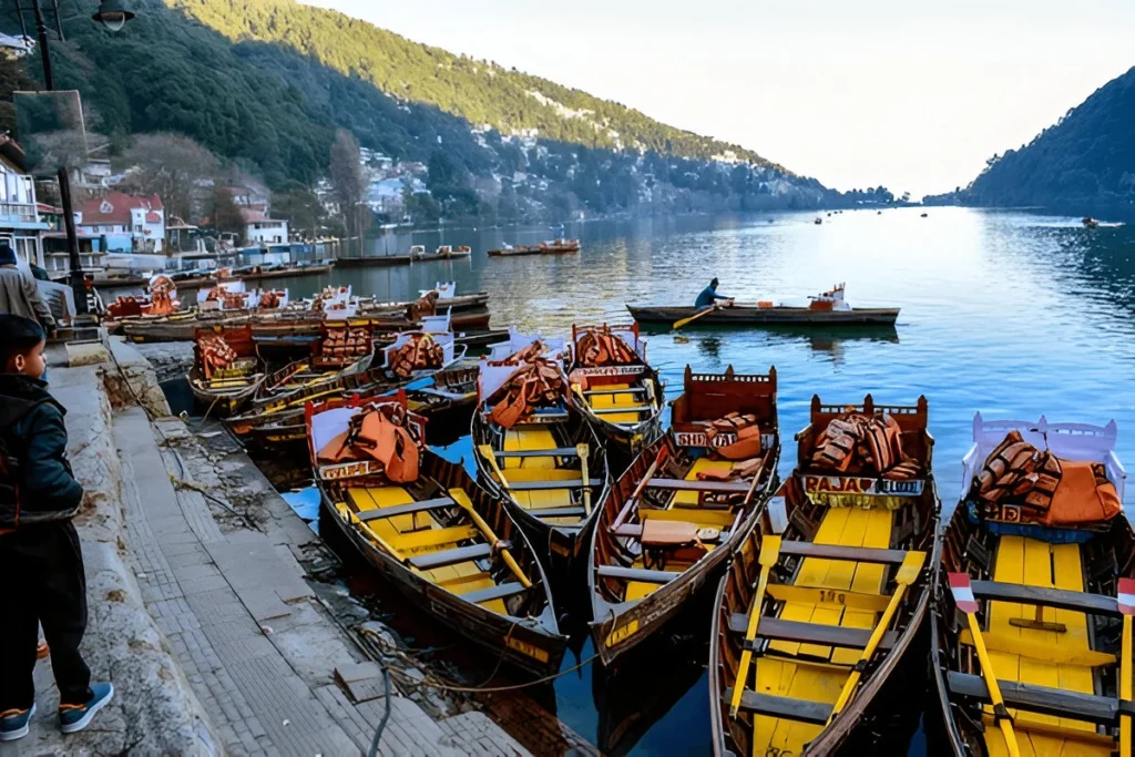 Nanital Package