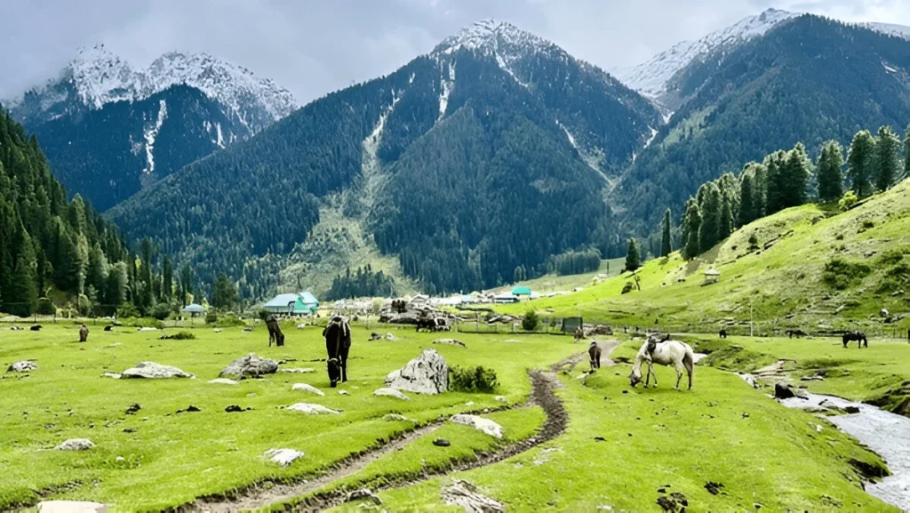 Kashmir Packages for Couple